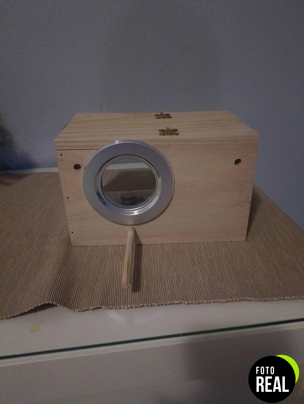 caja-cria-pajaros-nido-madera-transparente-foto-2
