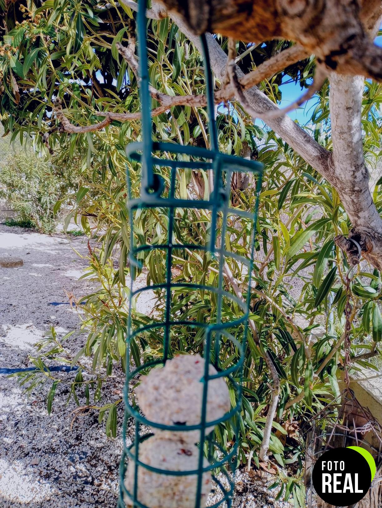 comedero-exterior-trixie-pajaros-foto-1