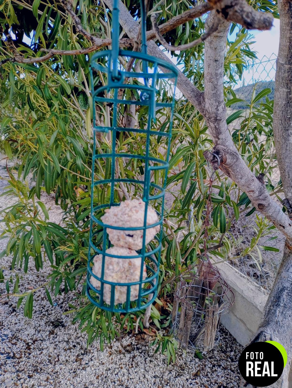 comedero-exterior-trixie-pajaros-foto-2