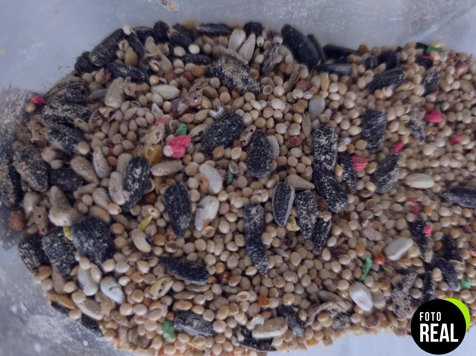 comida-ninfas-agapornis-natural-5kg-foto-3