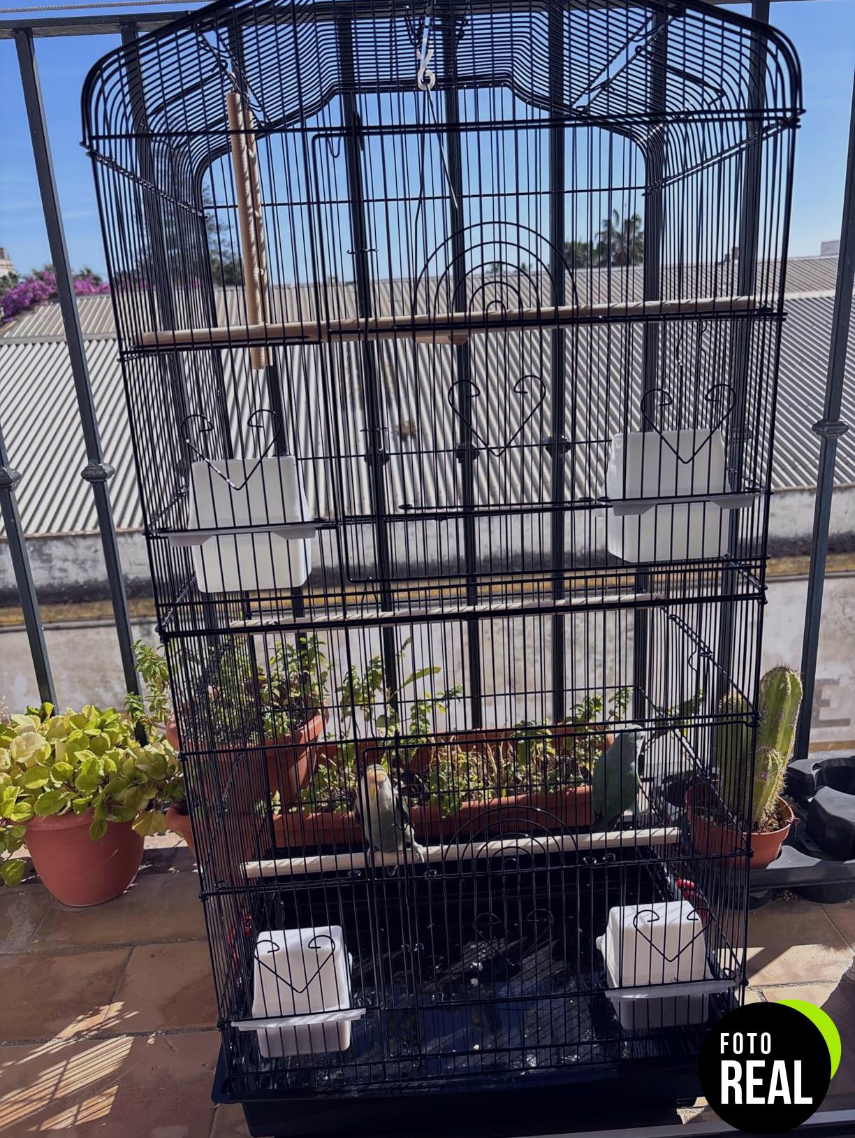 jaula-yaheetech-aves-metalica-46x36x92-foto-1
