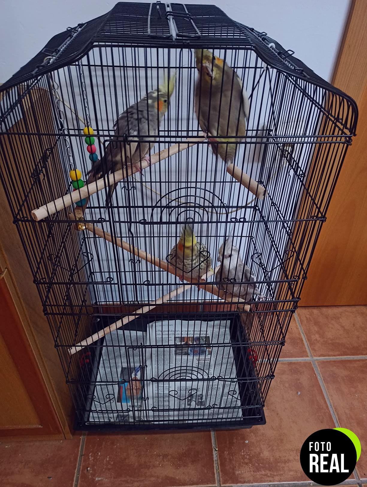 jaula-yaheetech-aves-metalica-46x36x92-foto-3