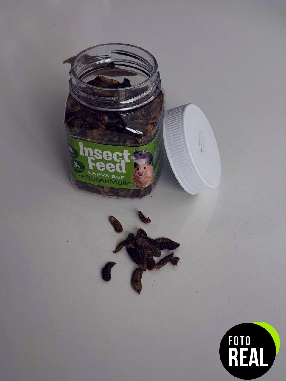 larvas-mosca-soldado-negra-snack-pajaros-mini-foto-3