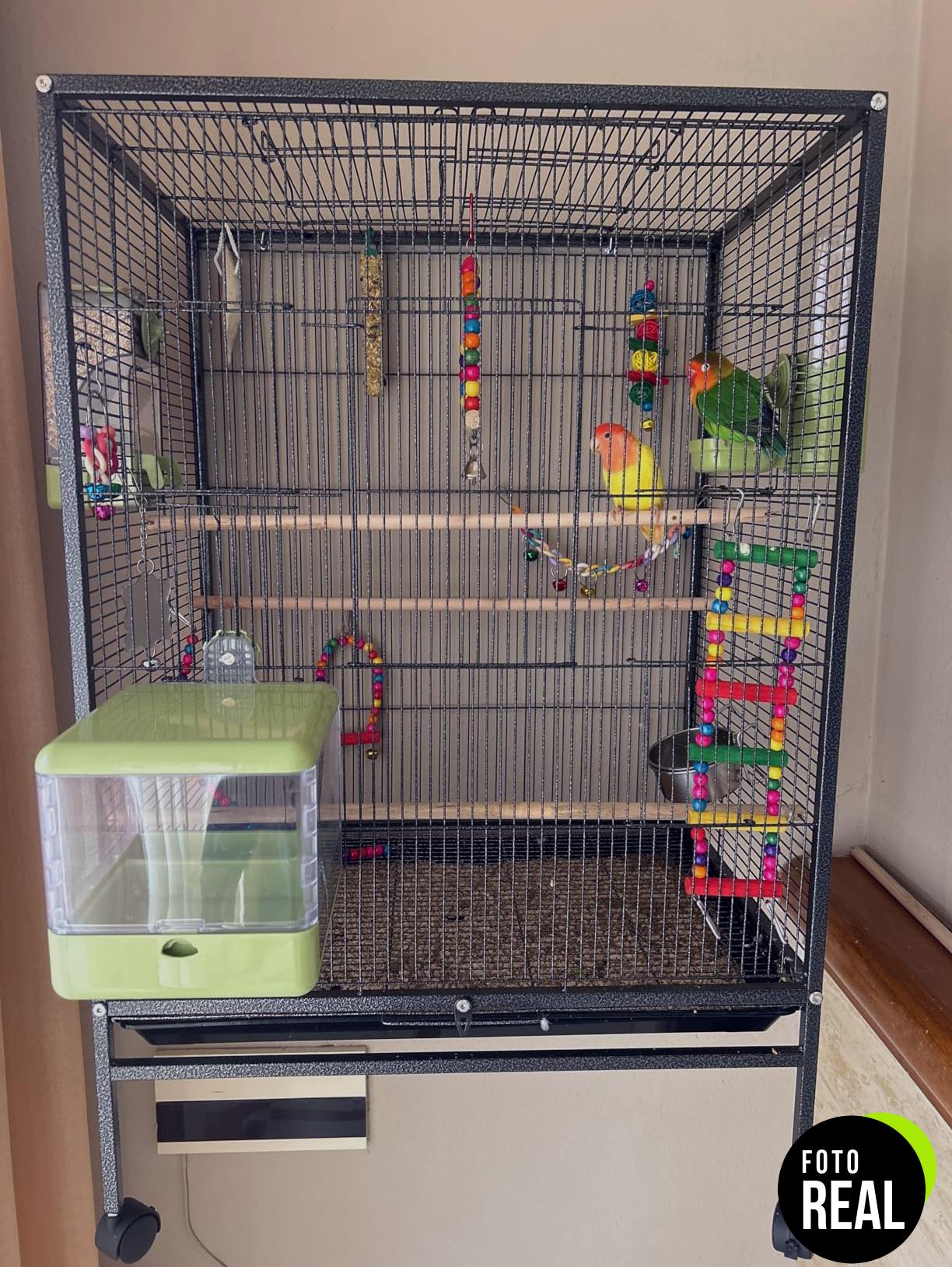 mobiclinic-jaula-pajaros-xl-01-foto-2