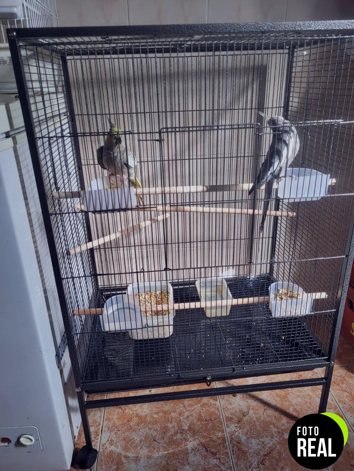 mobiclinic-jaula-pajaros-xl-01-foto-3