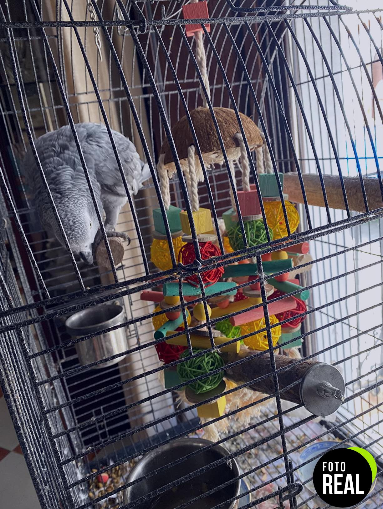 mqupin-juguete-masticar-loros-campanas-foto-2