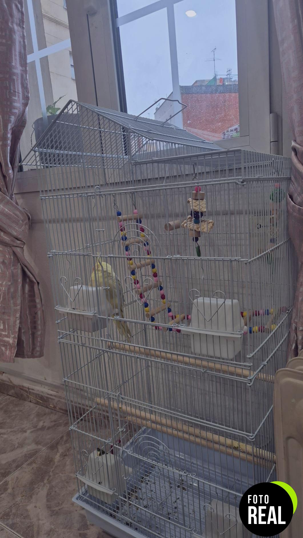 pawhut-jaula-aves-multi-puertas-blanca-foto-1