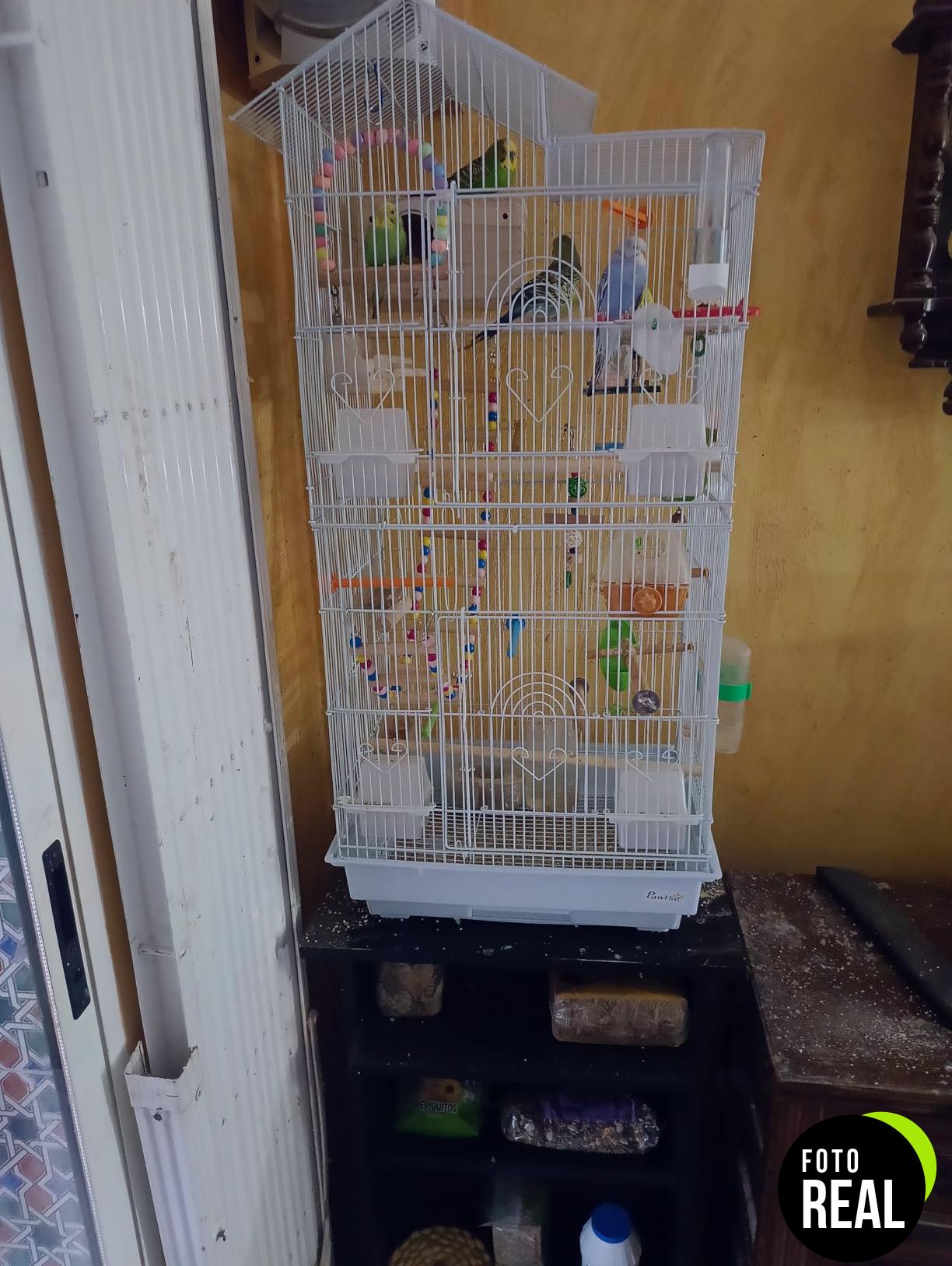 pawhut-jaula-aves-multi-puertas-blanca-foto-3