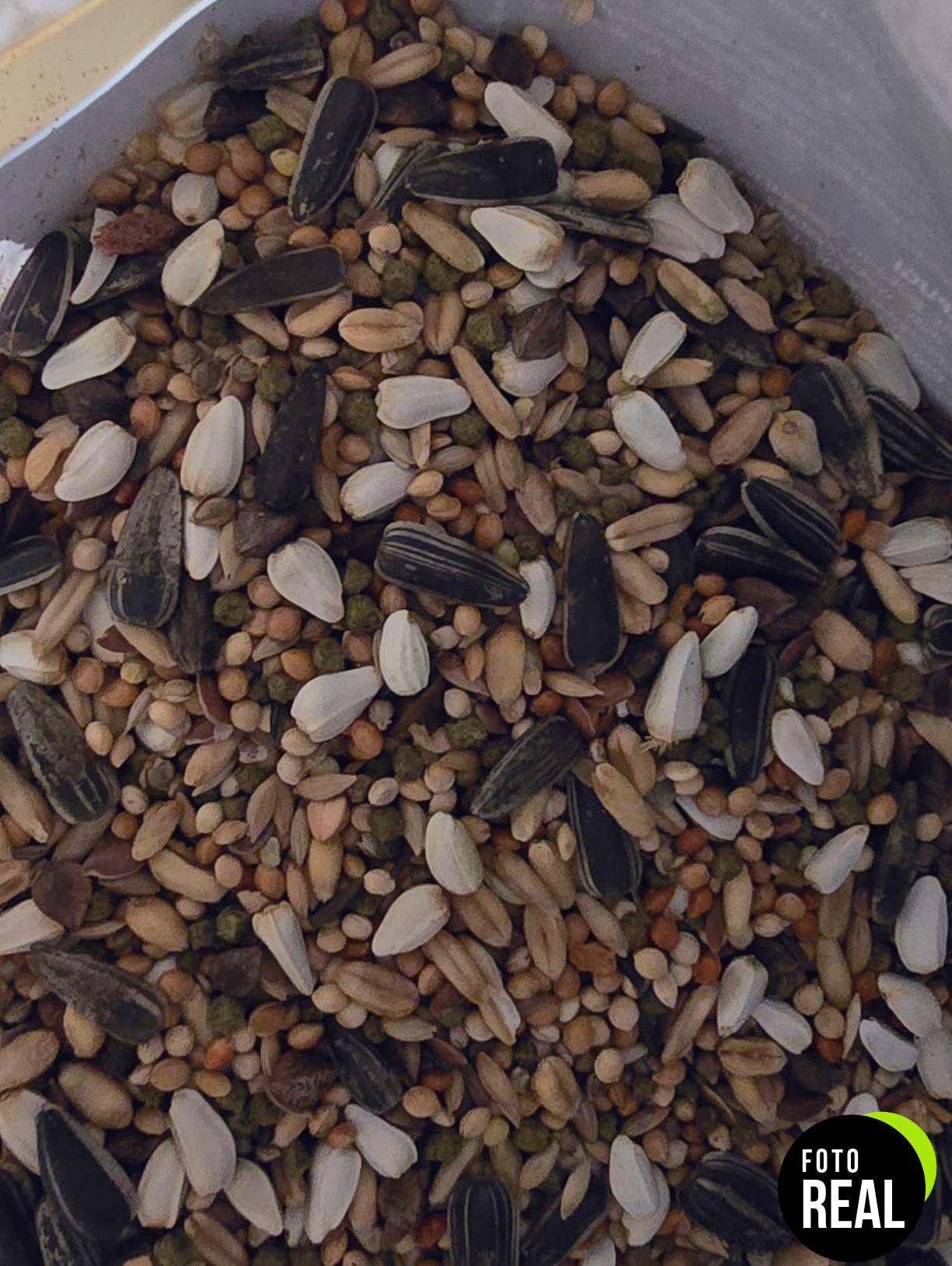 riga-menu-premium-cotorras-1kg-foto-2