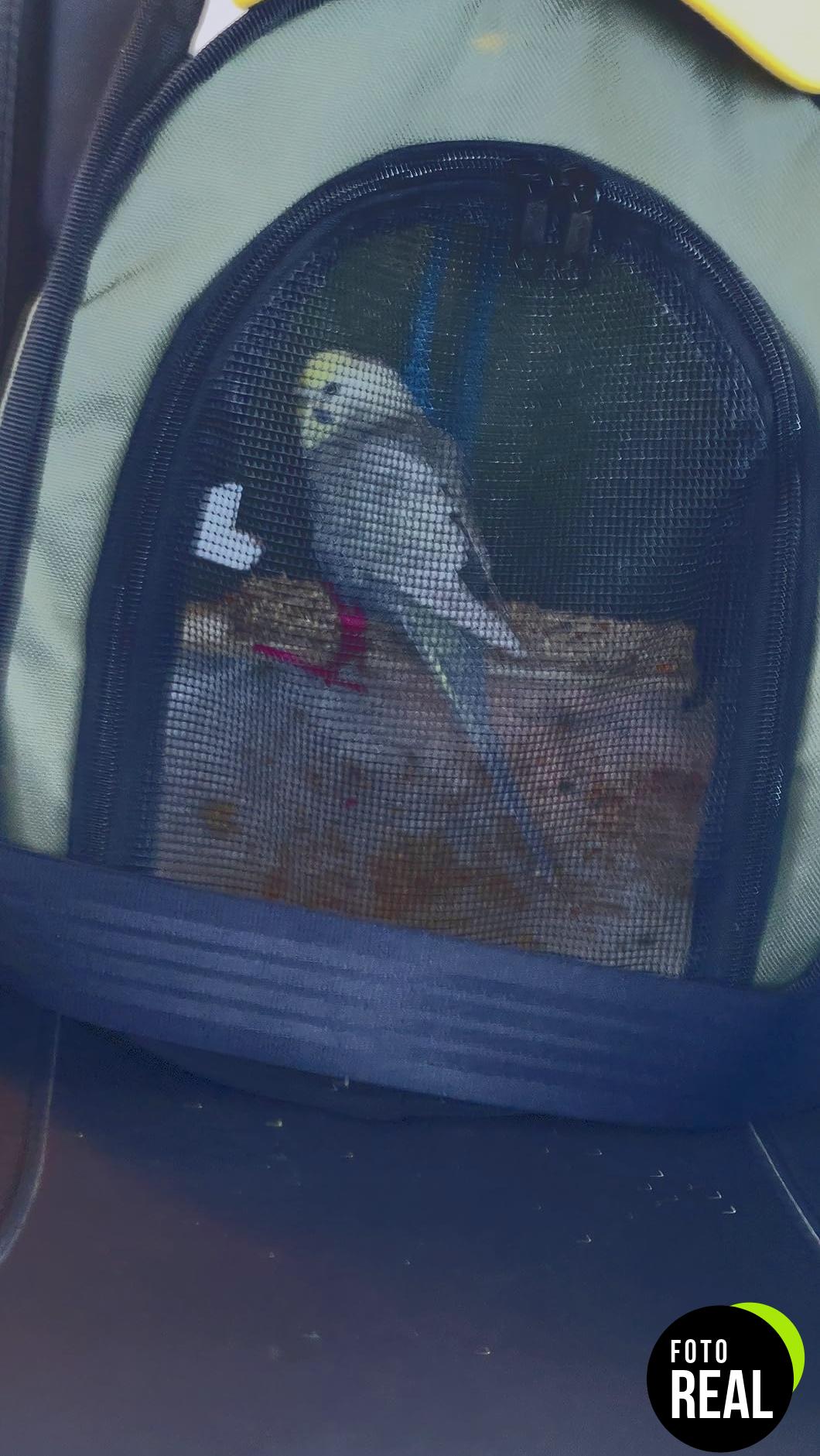 trixie-bolsa-aves-foto-1