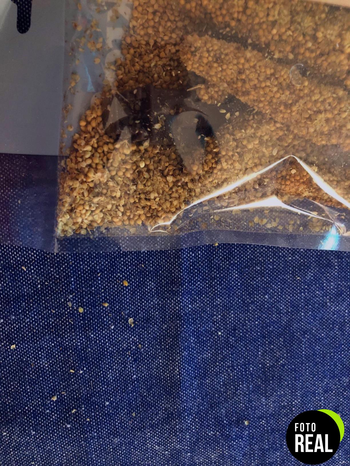 vitakraft-mijo-amarillo-snack-pajaros-foto-1